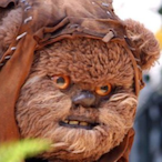 Bush_Wookie144's Avatar'