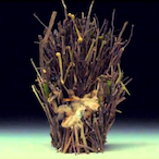 CharlieKirk41_67's Avatar'