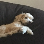 SolidFeather643's Avatar'