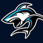 RaidingPC's Avatar'