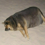 Borowyatnik's Avatar'