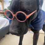 ScorchedAce's Avatar'