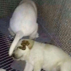 Based.Beans.'s Avatar'