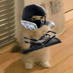 QYZ-kuoaiding's Avatar'