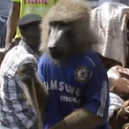 PapeCobain's Avatar'