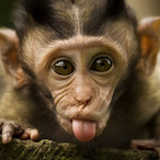 Kiddyfiddler96's Avatar'