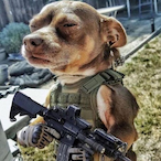 AOGSniper's Avatar'