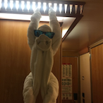 palmerqsii's Avatar'