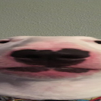SeanTheFool's Avatar'