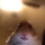 StankyFahtz's Avatar'