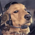 Velho_do_Saco's Avatar'