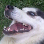 lmBubbIes's Avatar'