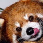 baitxn's Avatar'