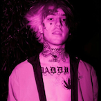 TrapGoose333's Avatar'