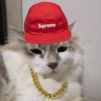 PeterSzarka132's Avatar'