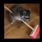 GOONNOODLE's Avatar'