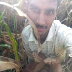 osasquense.'s Avatar'