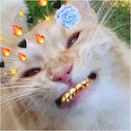 Unsafepit's Avatar'