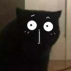 dishinizaitao's Avatar'