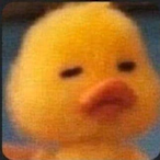 Snowhazee1's Avatar'