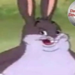 ZestyZoologist's Avatar'