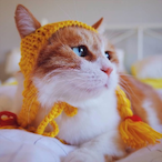 LLLLiZi's Avatar'