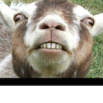 Kecske's Avatar'