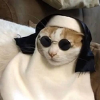 zNatu.RD's Avatar'