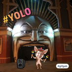 qqytk's Avatar'