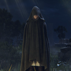 DDDwarrior's Avatar'