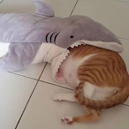 amthepizzaman's Avatar