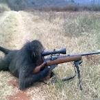 Munks.'s Avatar'