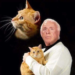 Rakanishu.'s Avatar'