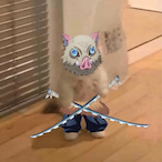 chihUAHUS BiTe's Avatar'