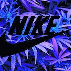 Iceminion1000's Avatar'