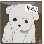 showDaDa's Avatar'