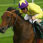 xSEA THE STARSx's Avatar