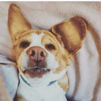 ReneeMoon69's Avatar'