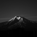 HigglyOP's Avatar'