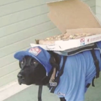 Bucket Jr 1's Avatar'