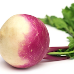 Turnip.GN's Avatar'
