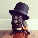 CRAYHEFNER's Avatar'