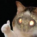 CHINA_MOTH's Avatar'