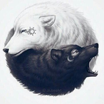 TheParadox-.-'s Avatar'