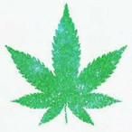 Tzunamiloko's Avatar'