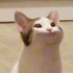 Popping_OFF's Avatar'