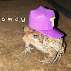 TRIIAD_'s Avatar'