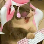 lavendeljpg's Avatar'