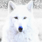 Twxtwaffles's Avatar'