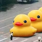 KroltzyEGO's Avatar'